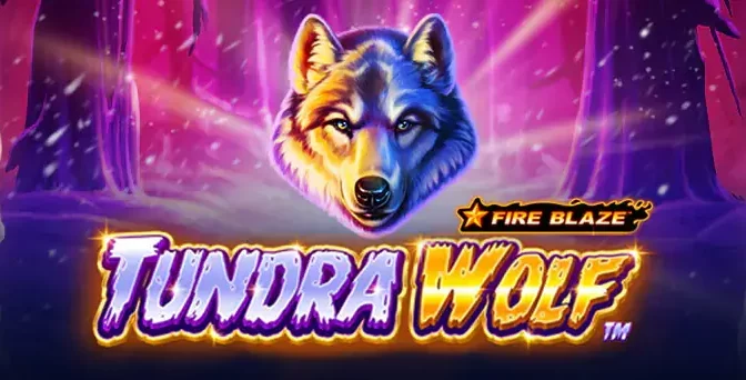 Fire blaze: tundra wolf