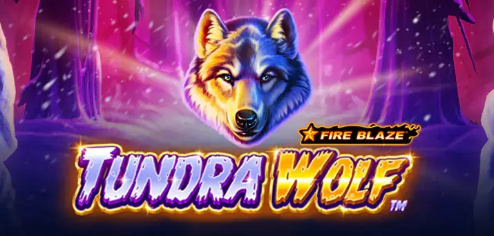 Fire blaze: tundra wolf