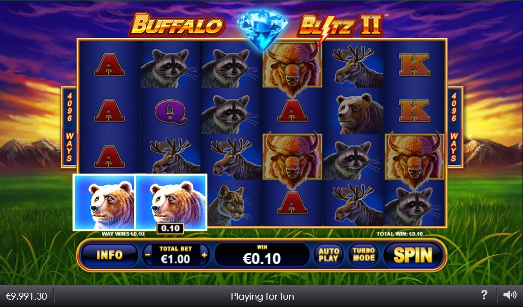 Buffalo blitz 2