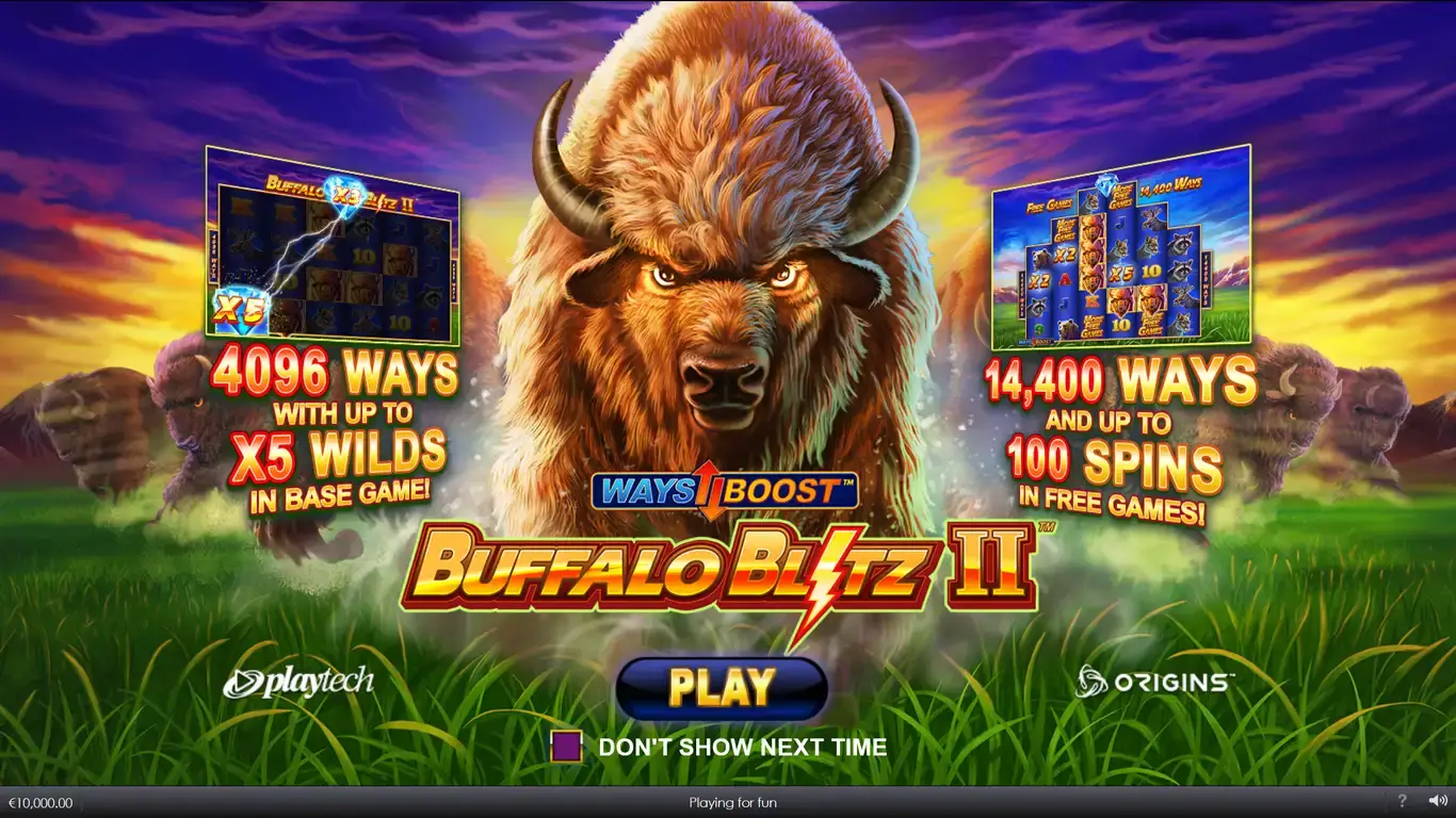 Buffalo blitz 2