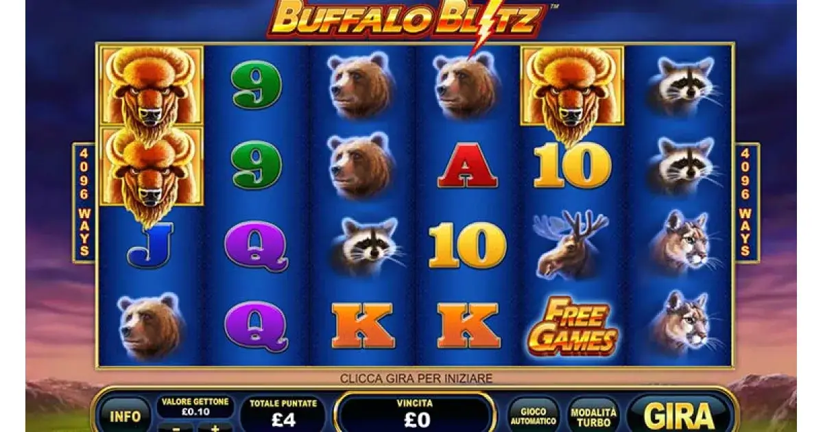 Buffalo blitz 2