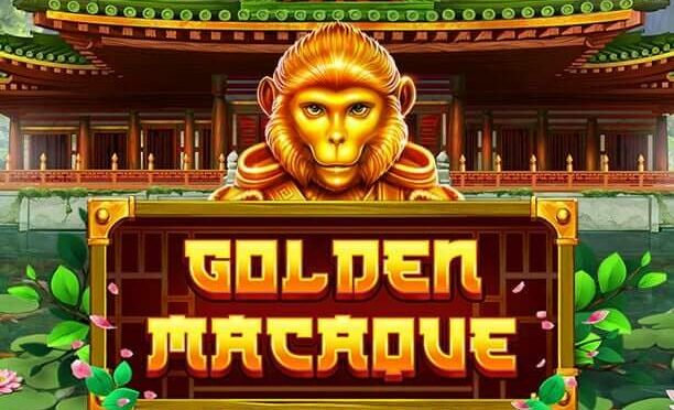 Golden macaque