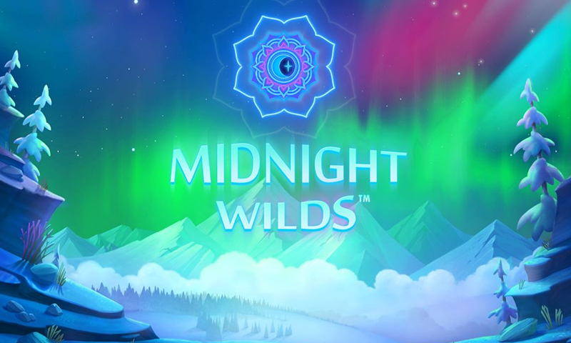 Midnight wilds