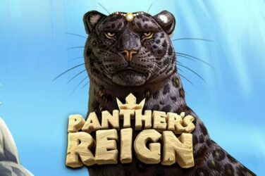 Panther's reign