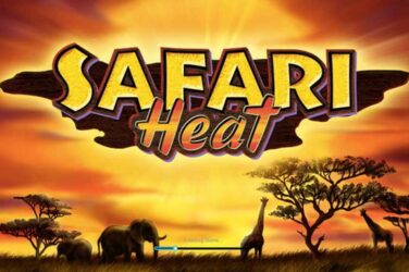 Safari heat