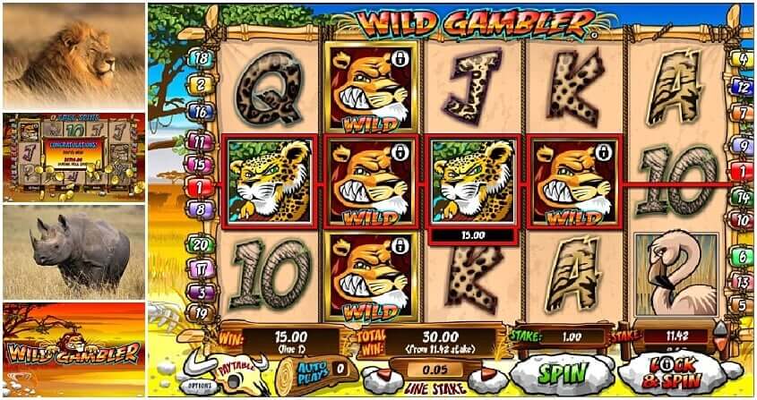 Wild gambler