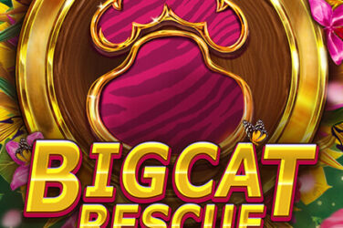 Big cat rescue megaways