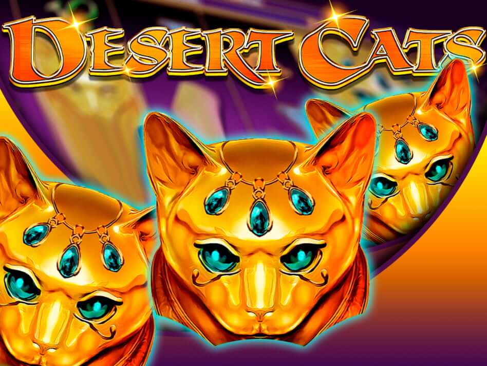 Desert cats