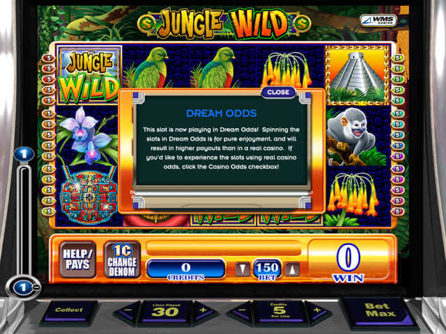 Jungle wild