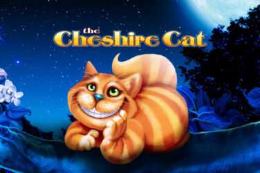 The cheshire cat