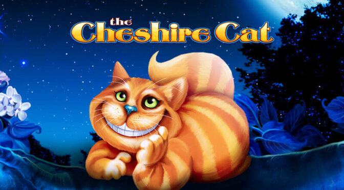 The cheshire cat