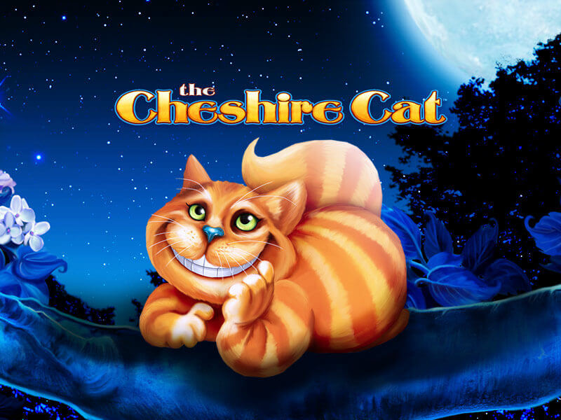 The cheshire cat