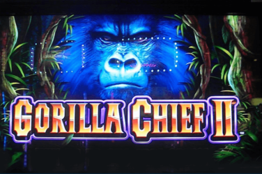 Gorilla chief 2