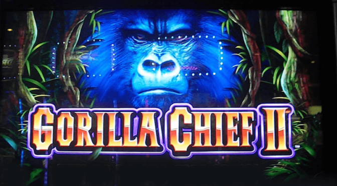 Gorilla chief 2