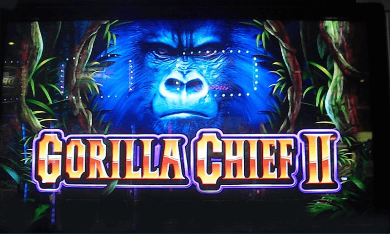 Gorilla chief 2