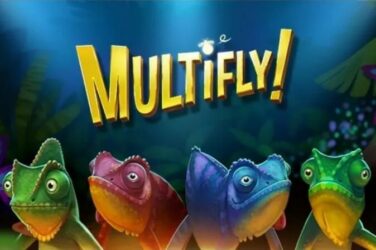 Multifly!