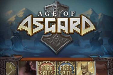 Age of asgard