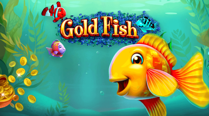 Gold fish