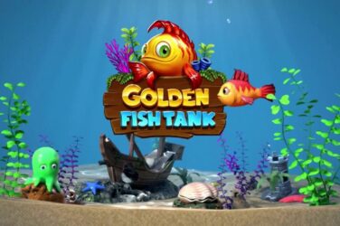 Golden fish tank