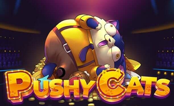 Pushy cats
