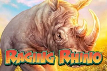 Raging rhino